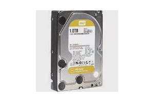 WD WD1005FBYZ Gold 1 TB 3.5" 7200 RPM SATA 128 MB Hard Drive